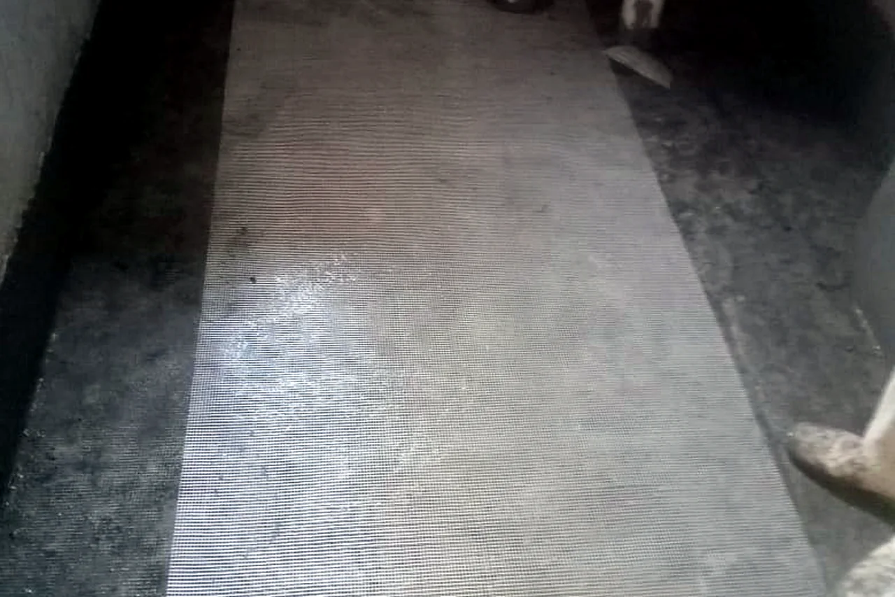 Reinforcing mesh placed into a wet coating